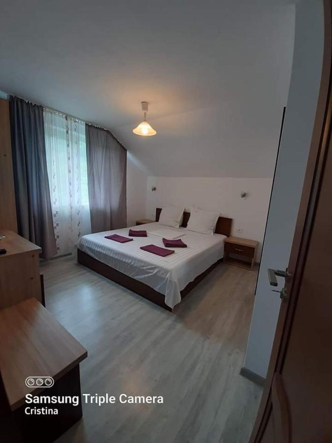 Călimăneşti Casa Trache酒店 外观 照片