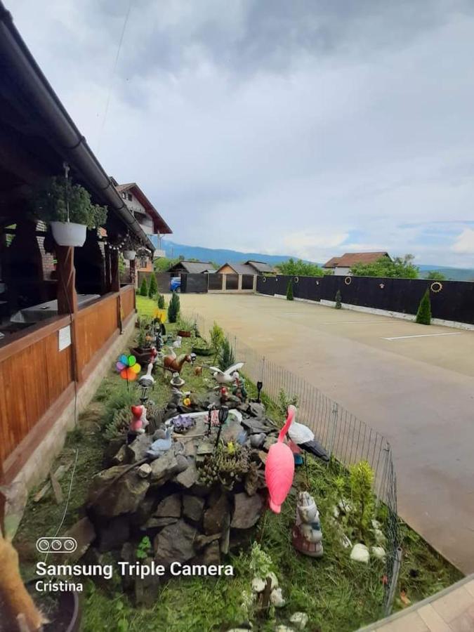 Călimăneşti Casa Trache酒店 外观 照片