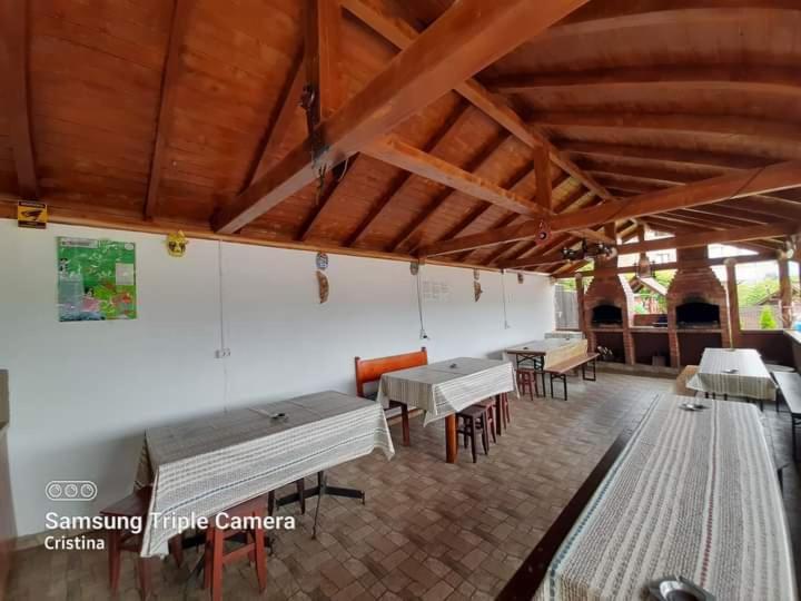 Călimăneşti Casa Trache酒店 外观 照片