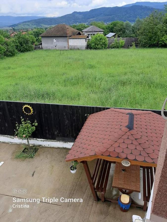 Călimăneşti Casa Trache酒店 外观 照片