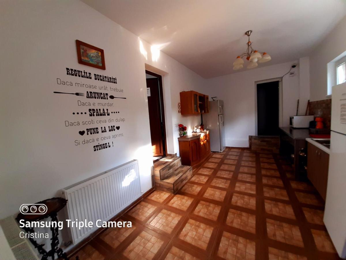 Călimăneşti Casa Trache酒店 外观 照片