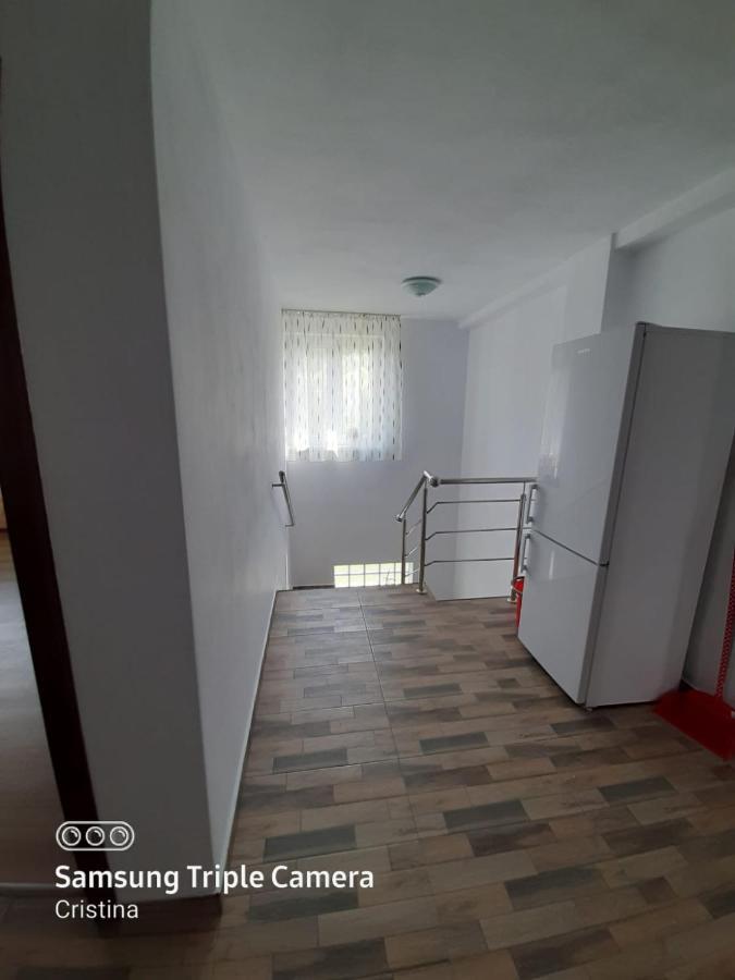 Călimăneşti Casa Trache酒店 外观 照片