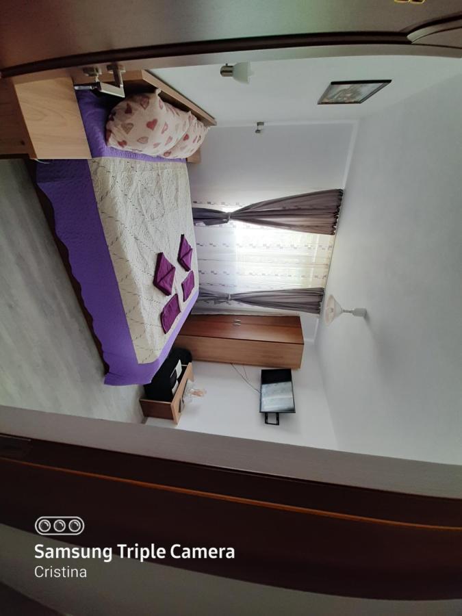 Călimăneşti Casa Trache酒店 外观 照片