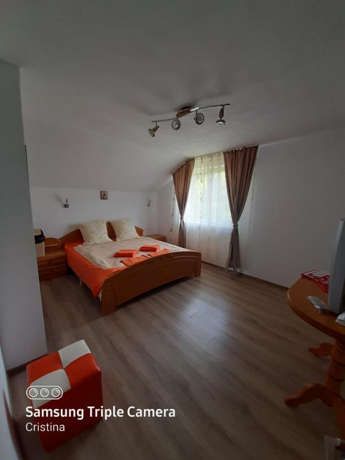Călimăneşti Casa Trache酒店 外观 照片