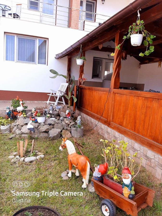 Călimăneşti Casa Trache酒店 外观 照片