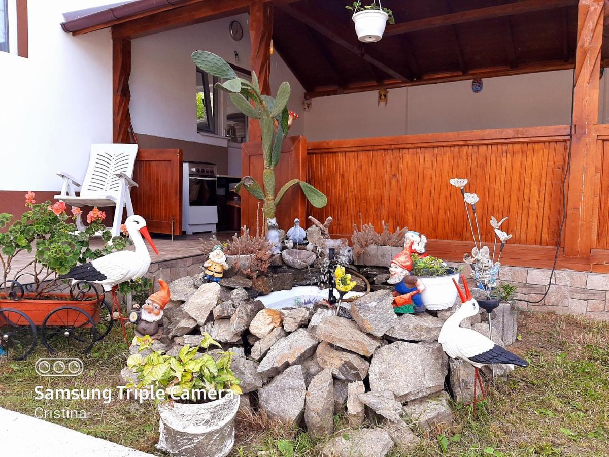 Călimăneşti Casa Trache酒店 外观 照片